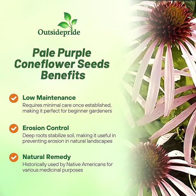 Outsidepride Pale Purple Echinacea Coneflower Seeds - 1000 Pcs Perennial, Drought-Tolerant, Deer Resistant Flower Seeds for Planting, Ideal Nectar Source for Pollinator-Friendly Gardens & Landscapes
