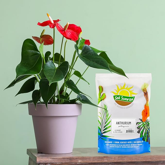 Soil Sunrise Anthurium Plant Potting Soil Mix (4 Quarts) Indoor Houseplant Custom Blend for Flowering Anthuriums