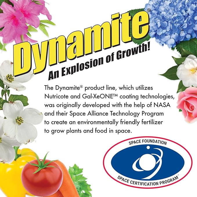 Dynamite Mater Magic - Organic Tomato Fertilizer for Bigger, Juicier Tomatoes and Vegetables, OMRI Listed, Nitrogen and Calcium-Rich Plant Food - .675 Pound Container with Shaker Lid