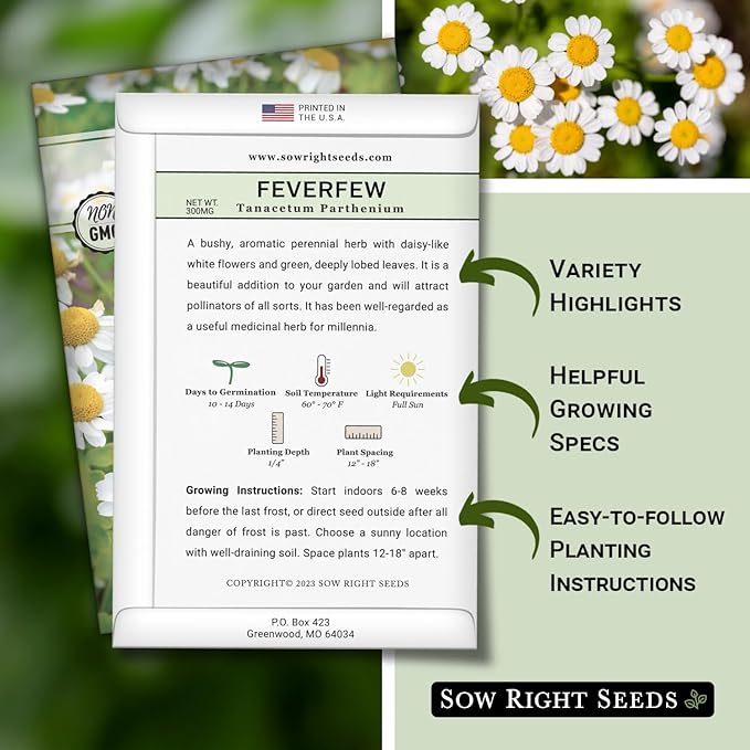 Sow Right Seeds - Feverfew Seeds for Planting - Non-GMO Heirloom Packet with Instructions to Plant an Outdoor or Indoor Herb Garden - Traditional Medicinal Herb, Make Tea & Extract for Migraines (1)
