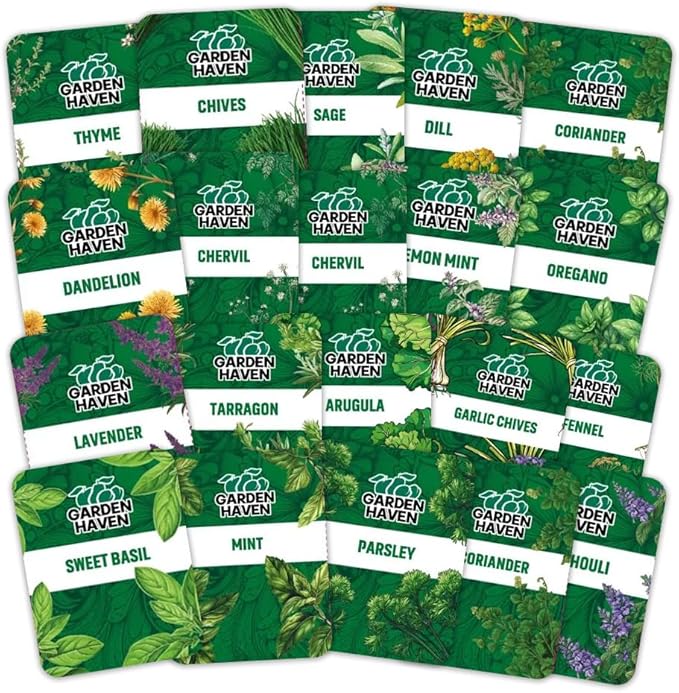 20 HERB Seeds Variety Pack - Complete Grow Kit Culinary Herbs Indoor Outdoors Herb Seeds, Basil, Oregano, Mint, Thyme & More Individually Seed Packets Starter Kit (Seeds Only)