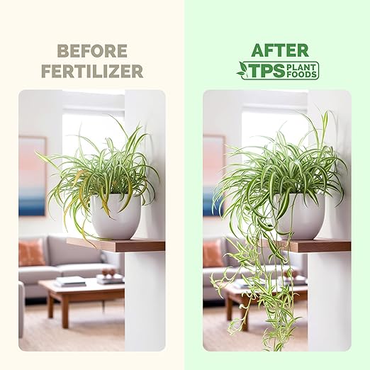 Spider Plant Fertilizer for Spider Plants, Great for Curly, Striped, and Solid Green Varieties, Liquid Fertilizer by TPS Plant Foods, 8oz (250ml)