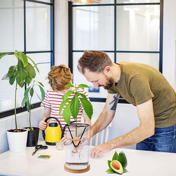 Avocado Tree Growing Kits, Avocado Growing Vase Wooden Base Avocado Seed Starter Vase Glass Plant Pot Easy Seed Sprout Starter Gift for Women Gardening Lovers Home Office Table Decoration