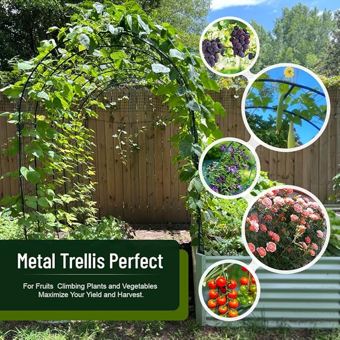 Zhisheng Metal Pergola Arch Garden Arbor Frame Outdoor Wedding Party Climbing Plants Trellis 7.9ft Wide X 6.4ft High Or 4.9ft Wide X 7.9ft High, for Halloween Bridal Party Decoration, Black