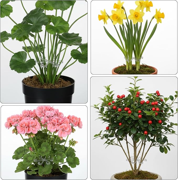 12 Pcs Climbing Houseplant Stem Supports, 4-Size Acrylic Plant Stem Holders Plants Stabilizers Plants Support Rings for Indoor Potted Climbing Frame Monstera(Transparent)