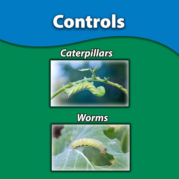 Monterey BT - Ready to Spray Bacillus Thuringiensis for Organic Worm and Caterpillar Control - 31oz