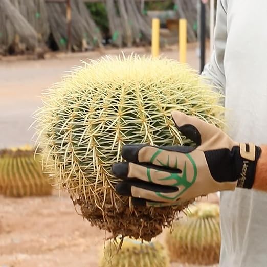 HexArmor ThornArmor 3092 Heavy Duty Outdoor Landscaping Work Gloves with Puncture Protection, X-Large