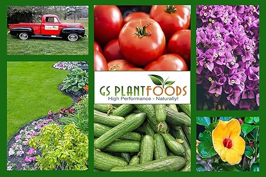 GS Plant Foods Root Ruckus Compost Fertilizer Organic Plant Food - Humic Acid & Sea Kelp Nutritional Root Supplement for Lawns, Soil, Shrubs & Vegetables - 55 Gallons