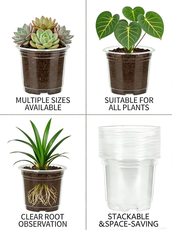 JOPY Plant Nursery Pots with Humidity Dome Seed Starter Pots Seedlings Planting Pots Small Planter Containers with Drainage Holes (Transparent, 5/6/7 inch-30Pcs)