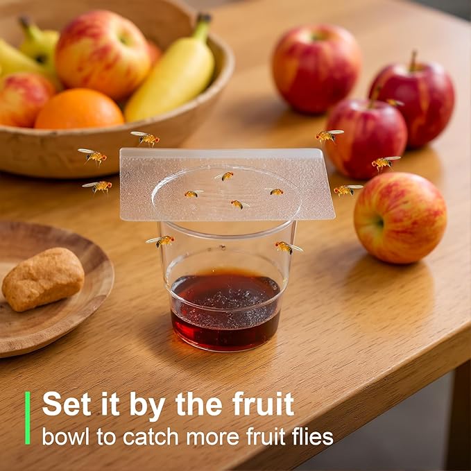 Fruit Fly Trap Covers, Double-Sided Sticky Adhesive Cards for Gnats, Fruit Flies, Moths, Kitchen Insect Control (50 Pcs)