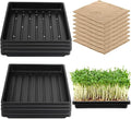 CIEOVO Microgreens Growing Mat with Tray Kit, 8 Pcs Hemp Fiber Grow Tray with 8 Pcs 10" Square Growing Trays Hydroponic Jute Pads Indoor Production for Indoor Germination Sprouts