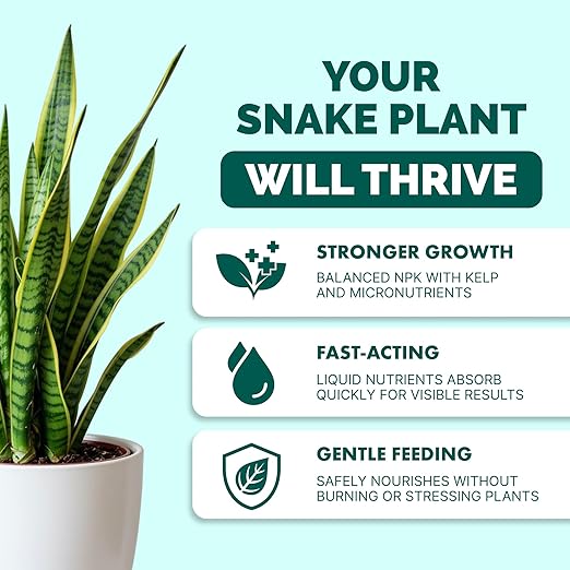 Snake Plant Fertilizer – Liquid Plant Food for Upright Growth, Strong Roots & Rich Green Leaves, 32 oz