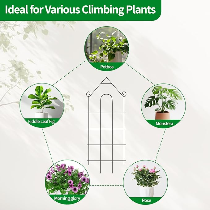 24" Plant Trellis, 6 Pack Metal Garden Trellis for Potted Plants Indoor/Outdoor, Rust-Proof Sturdy Steel Trellis for Climbing Plants, Monstera, Tomatoes, Cucumbers