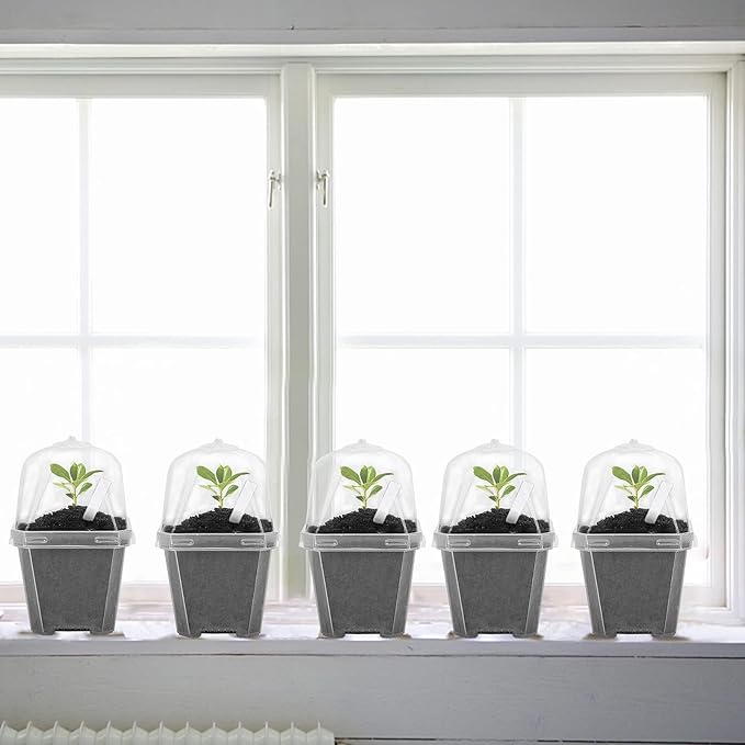 EBaokuup 50 Pcs Clear Plant Nursery Pots with Humidity Dome-3" Reusable Plastic Gardening Pot with Labels-Small Seed Starting Pots for Seedlings,Vegetables,Succulents,Cuttings