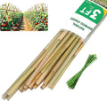 3ft Natural Bamboo Plant Stakes for Tomatoes, Beans, Flowers, Potted, Climbing Plants 30pcs
