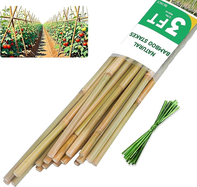 3ft Natural Bamboo Plant Stakes for Tomatoes, Beans, Flowers, Potted, Climbing Plants 30pcs