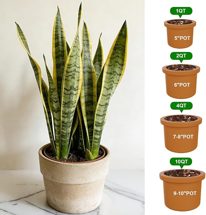 Organic Snake Plant Potting Soil 1qt- Well-Draining Nutrient-Rich Mix for Healthy Roots & Faster Growth, Natural Soil for Sansevieria Plants
