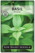 Sow Right Seeds - Lemon Basil Seed for Planting - Non-GMO Heirloom Packet with Instructions to Grow a Kitchen Herb Garden - Indoors or Outdoor - Great for Hydroponic Gardening, Lemony Flavor (1)