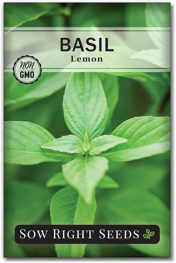 Sow Right Seeds - Lemon Basil Seed for Planting - Non-GMO Heirloom Packet with Instructions to Grow a Kitchen Herb Garden - Indoors or Outdoor - Great for Hydroponic Gardening, Lemony Flavor (1)