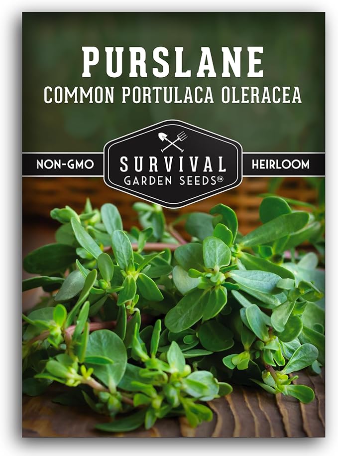 Purslane Seeds for Planting - Edible Green Portulaca Oleracea Verdolagas Heirloom Non-GMO Vegetable Seed for Home Garden - Survival Garden Seeds (1 Pack)