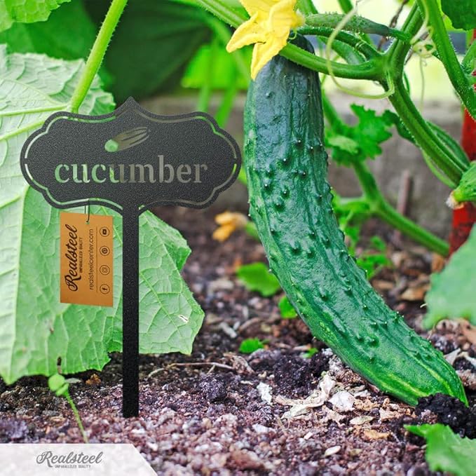 RealSteel Metal Seed & Plant Markers – Elegant Indoor & Outdoor Garden Stakes – Durable Herb, Vegetable & Fruit Plant Labels for Pots, Raised Beds & Greenhouse – Farmhouse Garden Gift - Asparagus