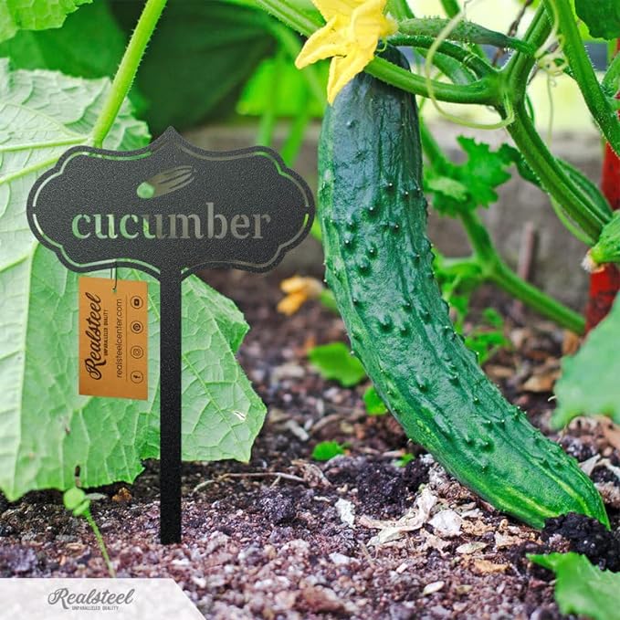 RealSteel - Seed & Plant Markers - Indoor/Outdoor Herb Garden Stakes - Elegant Fruit/Vegetable Seed Labels - Durable Plant Tags for Pots - Classy Design for Farmhouse/Greenhouse (Cabbage)