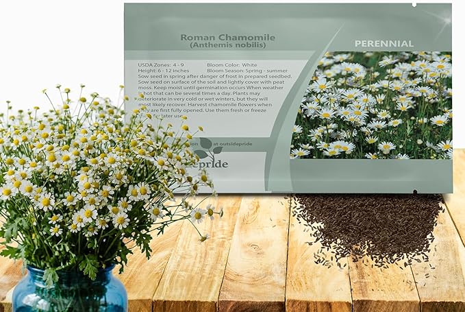 Outsidepride Roman Chamomile Seeds - 25000 Pcs Perennial, Drought Tolerant, Self-Seeding & Versatile, Herb Seeds for Planting Sweet Scented Daisy-Like Blooms, Ideal for Slopes & Pollinator Gardens