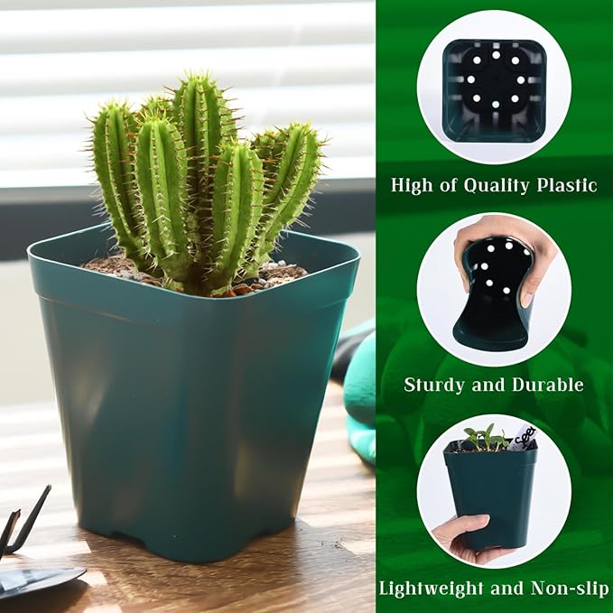 June Fox Small Seedling Pots 4 Inch, 100 Pcs Square Plant Pots Bulk, Plastic Nursery Pots with Drain Holes for Seedlings, Succulents, Cuttings (Green)