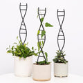 Yohsnor 3 Pcs Indoor Plant Trellis Set - Black Metal DNA Design for Potted Plants, Small Houseplants & Climbing Support - Modern Home Decor & Vertical Garden Display - Perfect for Indoor & Outdoor Use