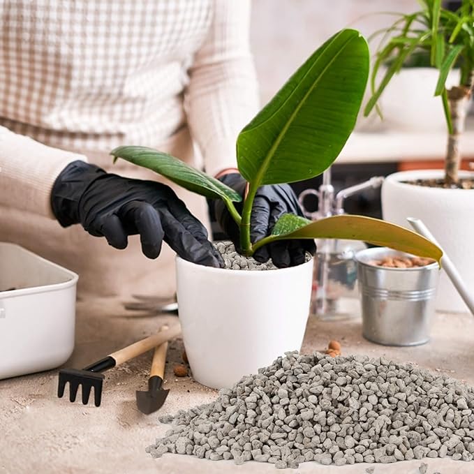Sukh Horticultural Pumice Stone - Pumice Stone for Plants Succulent Cactus Bonsai Orchid Soil Amendment 410g