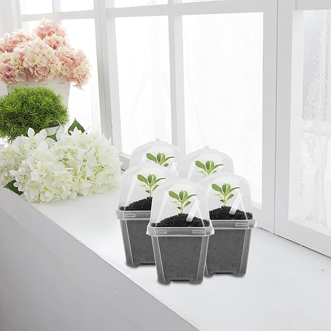 EBaokuup 10Pcs 4" Clear Plant Nursery Pots with Humidity Dome, Plastic Gardening Pot Plant Container, Seed Starting Pot with Drain Holes for Seedlings Vegetables Succulents Cuttings