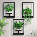 Wall Plant Stand, Metal Picture Frame Hanging Planters for Indoor Plants, Wall Mounted Plant Shelf for Window/Living Room/Bedroom/Entryway/Garden, Free Garden Shears (Square-Black, 3Pcs)