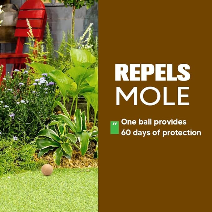 Mole Repellent, Gophers Repellent, Vole Repellant Outdoor, Groundhog Deterrent, Armadillo Repellent for Garden, Mole Control, Keep Mole Out of Yard, Safe Around Pet & Plant-8P