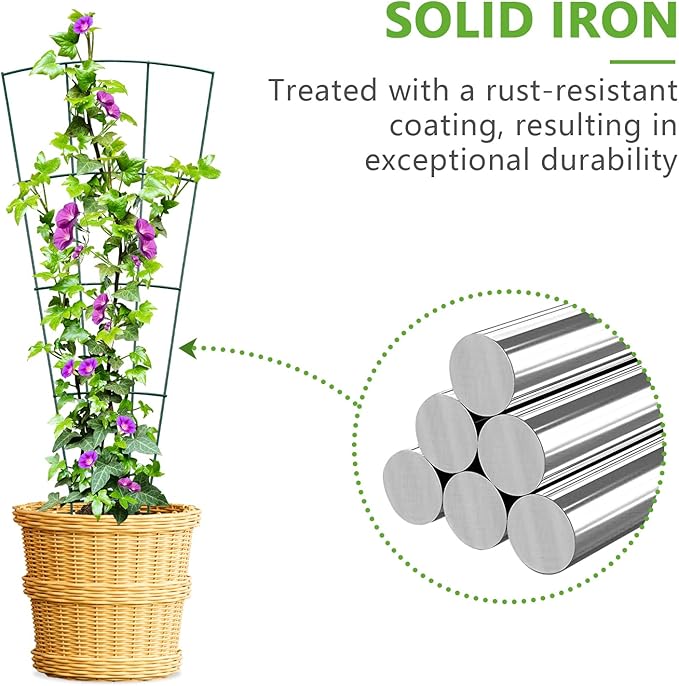 6-Pack Indoor Plant Trellis - 24 Inches, Heavy-Duty Metal for Climbing Houseplants, Flowers, Vines, and Ivy