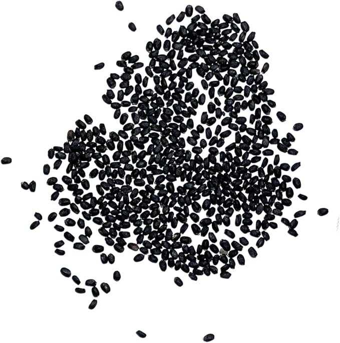 Seed Needs Sweet Genovese Basil Seeds for Planting - Non-GMO Heirloom & Untreated Culinary Herb Seed to Plant an Indoor or Outdoor Home Grown Kitchen Garden (2 Packs)