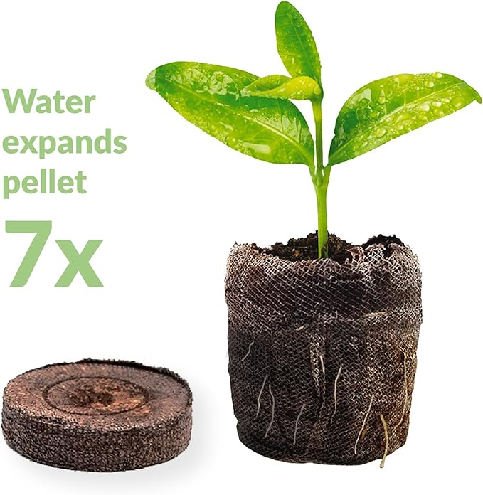 Jiffy Plant Starter Pellets - Compact Organic Seedling Peat Pellets Refill - 42mm, 5 Pack, Peat Soil