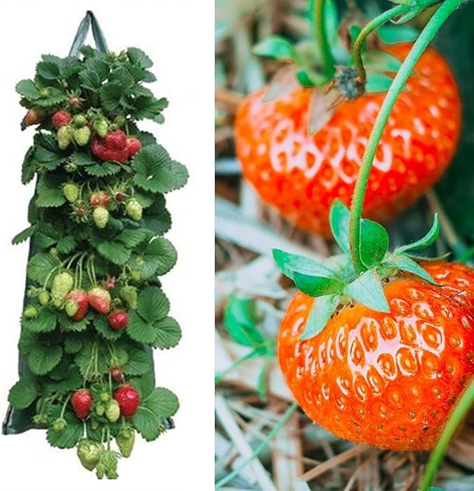 2024 Hanging Strawberry Planter, Upside-Down Patio Garden Tomato Planter Bags, Hanging Strawberry Plant Grow Bags,Hanging Grow Bags Flower Planting Bag Handle Grow Pouch Planter for Outdoor (1)