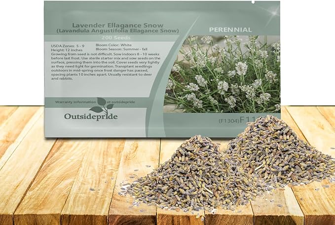 Outsidepride Ellagance Snow Lavender Seeds - 50 Pcs Perennial, Drought-Tolerant & Pollinator Friendly Herb Seeds for Planting Fragrant and Delicate Flowers with White Blooms for Xeriscaping Gardens