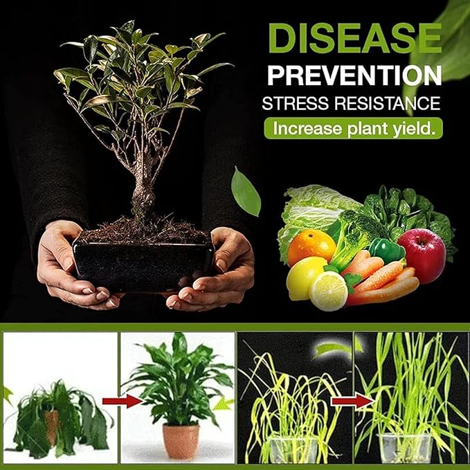 200g Soil Activated Treasure -You Will Be Amazed! Premium Soil Activated Essence Flower Fertilizer, Activators for Raised Garden Beds, Potting Mix, Lawns