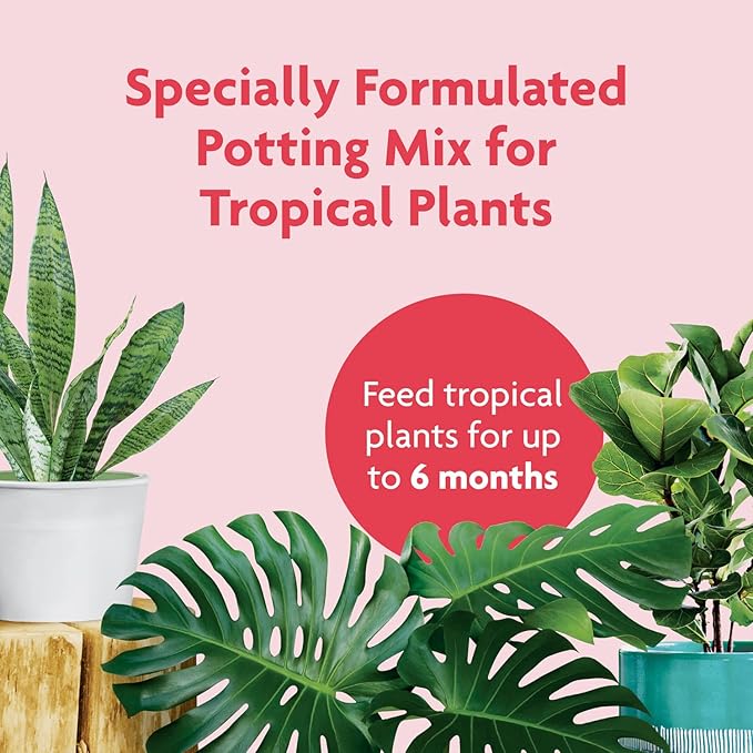 Miracle-Gro Tropical Potting Mix - Growing Media for Tropical Plants Living in Indoor and Outdoor Containers, 6 qt. (2-Pack)