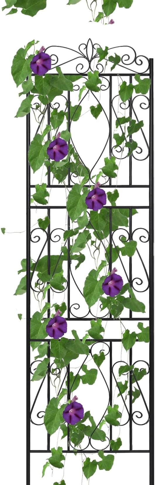 unho 2 Pack 71.6x20in Iron Arch Garden Trellis with Black Metal Coating–Perfect for Supporting Climbing Plants Outdoor, Roses, Vines, Flowers, and Vegetables