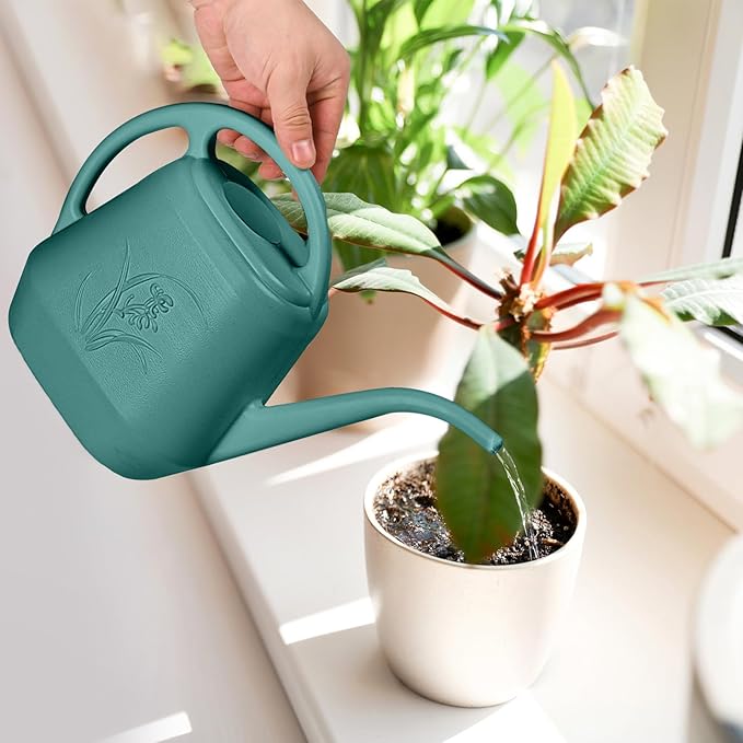 Watering Can - for Home Plant Garden - 1/2 Gallon - Emerald Green