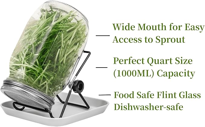 Lulonpon 4 Sprouting Jar Kit, Wide Mouth Quart Mason Jars with Stainless Steel Screen Sprout Lids, 86mm,1000ml,Stand,Tray and Canning Brush,Seed Sprouter Set for Growing Broccoli, Alfalfa, Mung Bean
