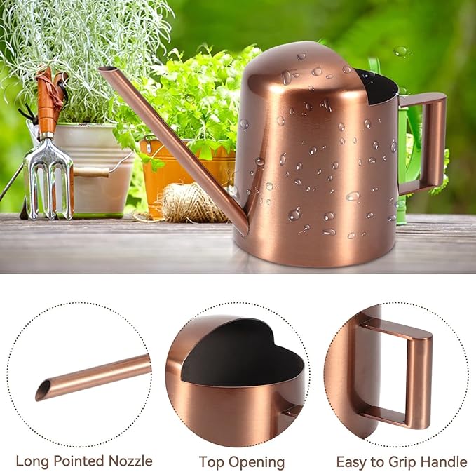 10oz/300ml Watering Can Indoor Plants, Long Spout Small Watering Sprinkling Pot Mini Stainless Steel Water Can Garden Water Pot for Indoor House Plants Bonsai