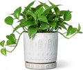 Eightpot Ceramic Planter, 6 Inch Pot for Plants with Drainage Holes and Tray, Round Plant Pots for Indoor Outdoor Plants, Boho Decorative Flower Pots, Home Room Decor, Gifts for Women, White