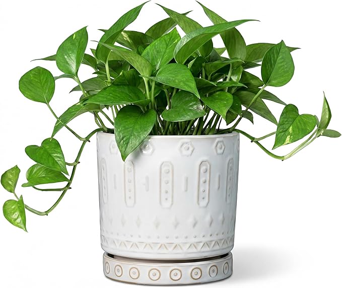 Eightpot Ceramic Planter, 6 Inch Pot for Plants with Drainage Holes and Tray, Round Plant Pots for Indoor Outdoor Plants, Boho Decorative Flower Pots, Home Room Decor, Gifts for Women, White
