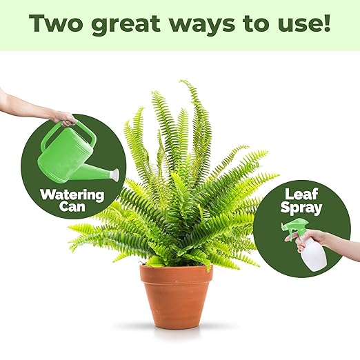 Boston Fern Fertilizer for Boston Fern, Great for Fluffy Ruffles, Dallas, and Compacta Fern Varieties, Liquid Fertilizer by TPS Plant Foods, 32 oz (1 Quart)