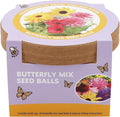 BUZZY Seeds 20 Colorful Wildflower Seed Balls – Toss, Scatter, and Grow a Garden of Bright Blooms, Over 50 Seeds Per Ball, Eco-Friendly Outdoor Flower Fun