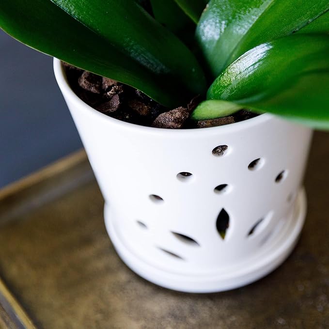 Atri Ceramic Orchid Pots with Holes–5.25in Modern Porcelain Indoor Orchid Planter–Drainage Hole–Small Orchid Pot for Repotting–White Orchid Pot with Holes