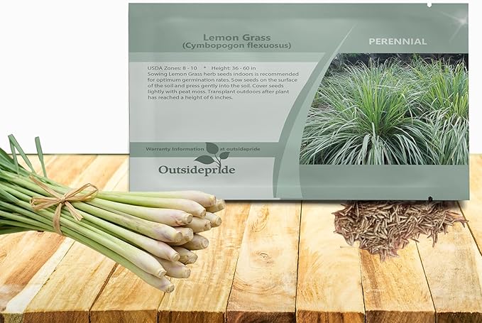 Outsidepride Lemon Grass Seeds for Planting - 2000 Perennial Seeds, Mosquito Repellent, Deer Proof, Citronella Grass for Culinary and Ornamental Use, Blue-Green Foliage, Lemon Grass Live Plant